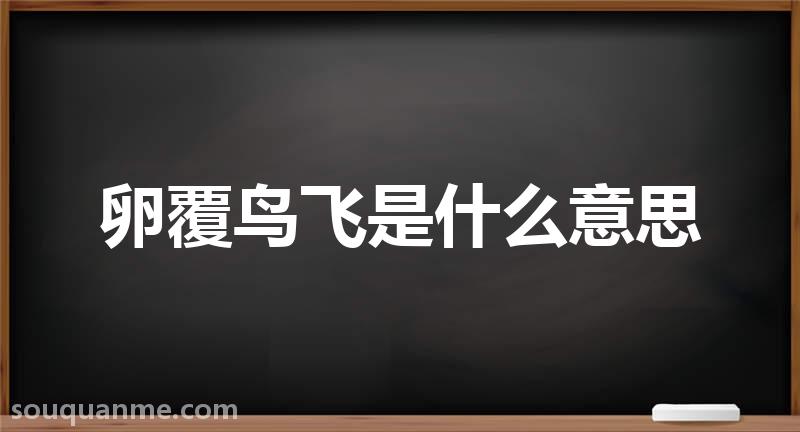 卵覆鸟飞是什么意思 卵覆鸟飞的拼音 卵覆鸟飞的成语解释